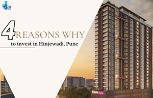 Hinjewadi Investment